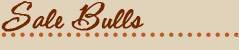 bullsale