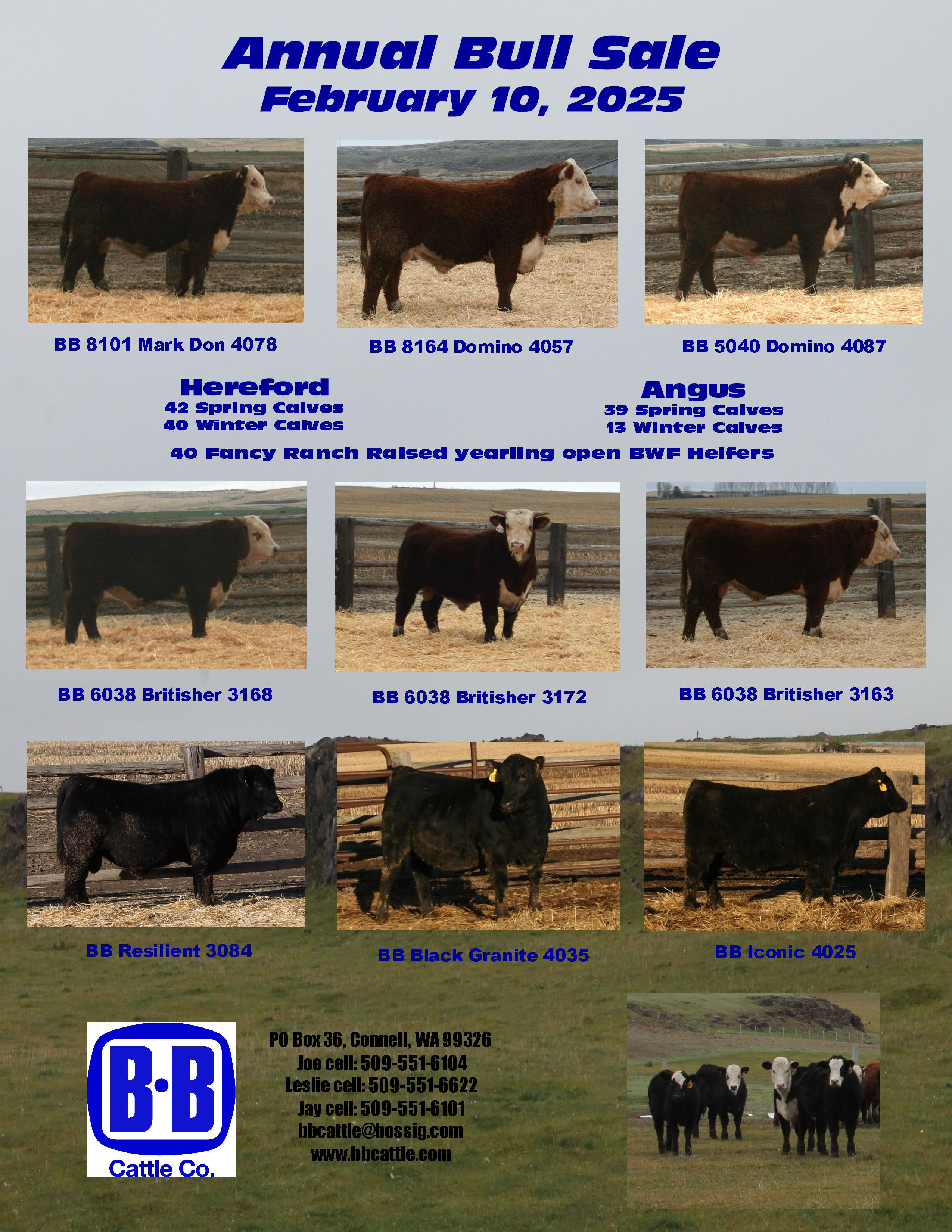 sale catalog