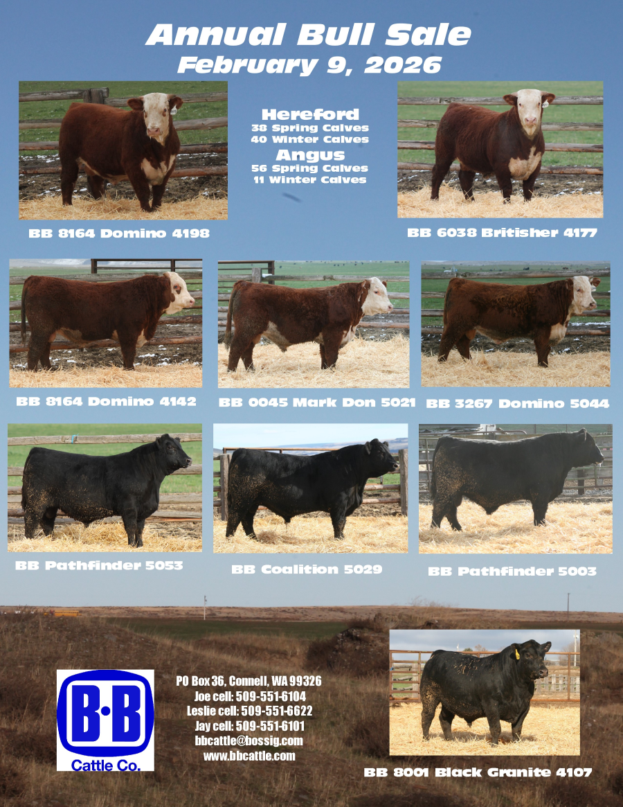 sale catalog